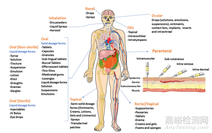 藥物劑型選擇、體內(nèi)過程以及控釋給藥系統(tǒng)設計的幾點考慮