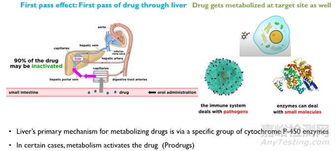 藥物劑型選擇、體內(nèi)過程以及控釋給藥系統(tǒng)設計的幾點考慮