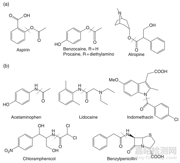 ?淺談：藥物降解途徑、藥物降解的影響因素及解決方案