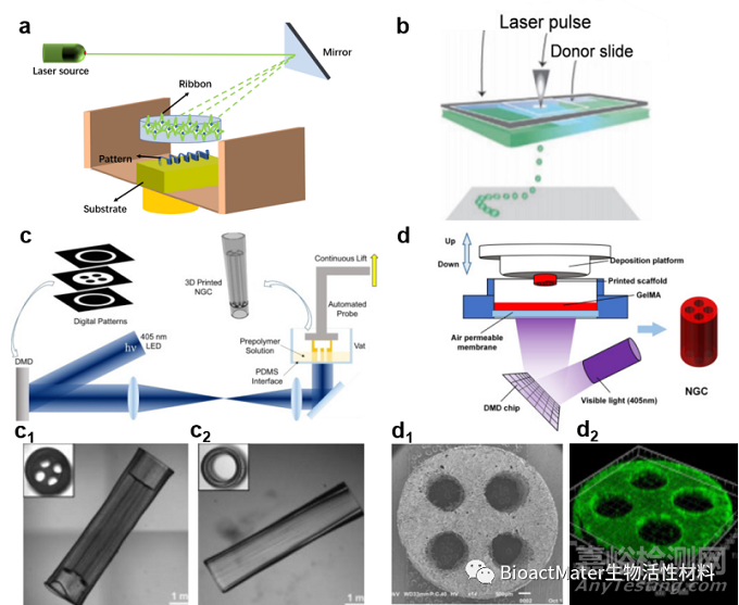 神經(jīng)導(dǎo)管研究進(jìn)展——材料篩選、多功能化設(shè)計(jì)和先進(jìn)制造創(chuàng)新