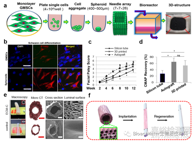 神經(jīng)導(dǎo)管研究進(jìn)展——材料篩選、多功能化設(shè)計(jì)和先進(jìn)制造創(chuàng)新