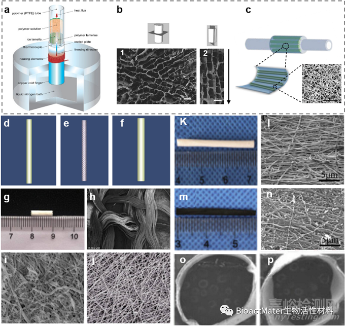 神經(jīng)導(dǎo)管研究進(jìn)展——材料篩選、多功能化設(shè)計(jì)和先進(jìn)制造創(chuàng)新