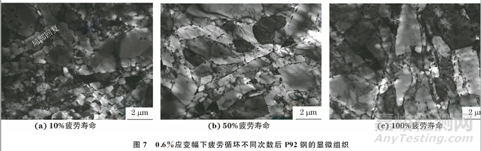 蠕變-疲勞交互作用下P92鋼的循環(huán)變形行為