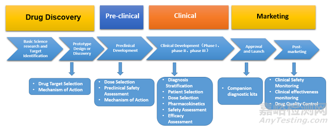 蛋白類生物標記物在生物醫(yī)藥研發(fā)中的應用及生物分析策略