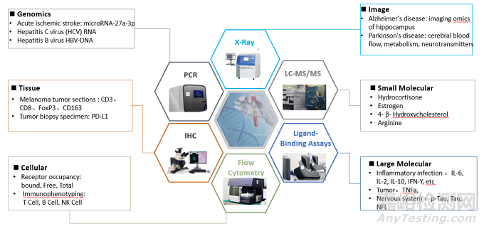 蛋白類生物標記物在生物醫(yī)藥研發(fā)中的應用及生物分析策略