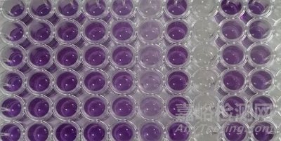 細(xì)胞毒性試驗(yàn)解析