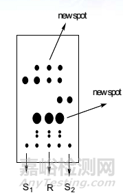 薄層色譜法（TLC）技術深度解析