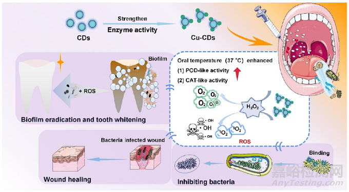 華南理工大學：納米漱口水來了！不僅能美白牙齒，還能預(yù)防治療口腔感染