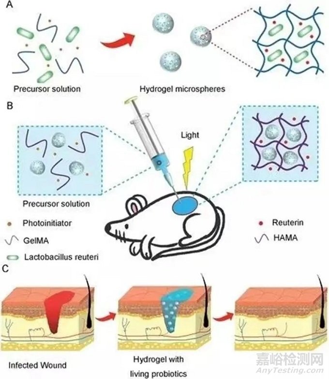 骨缺損、牙科、肌腱損傷等敷料領(lǐng)域的最新研究進(jìn)展