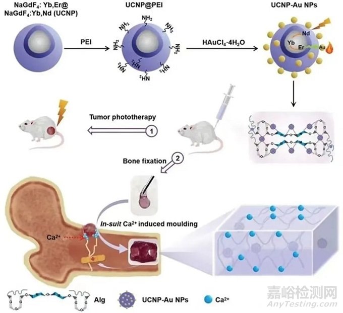 骨缺損、牙科、肌腱損傷等敷料領(lǐng)域的最新研究進(jìn)展