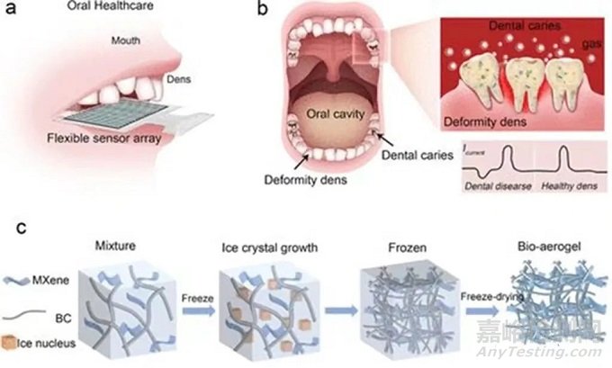 骨缺損、牙科、肌腱損傷等敷料領(lǐng)域的最新研究進(jìn)展