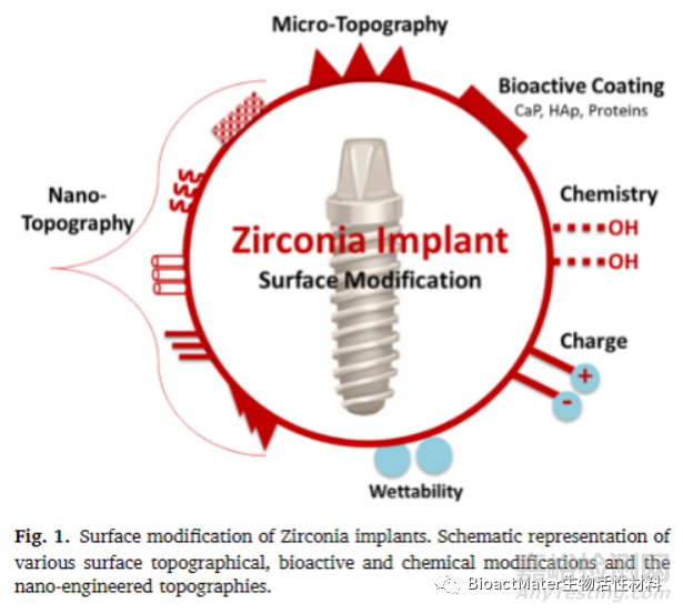先進(jìn)牙科種植體：具有生物活性和治療性的氧化鋯種植體