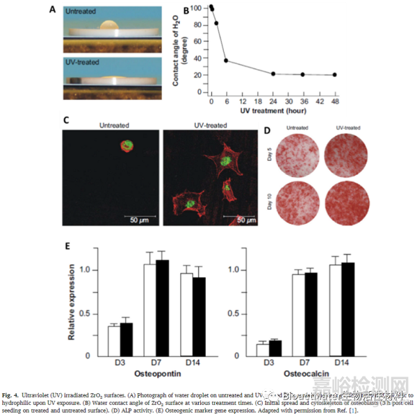 先進(jìn)牙科種植體：具有生物活性和治療性的氧化鋯種植體