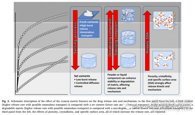 影響磷酸鈣骨水泥藥物釋放的因素