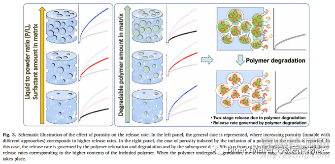 影響磷酸鈣骨水泥藥物釋放的因素