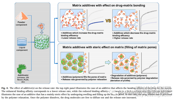 影響磷酸鈣骨水泥藥物釋放的因素