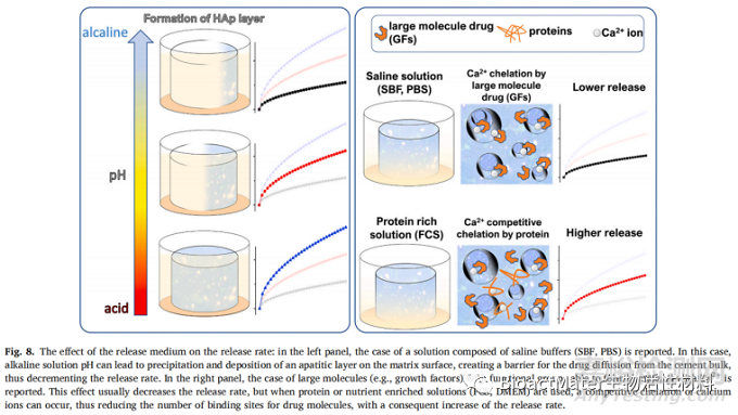 影響磷酸鈣骨水泥藥物釋放的因素