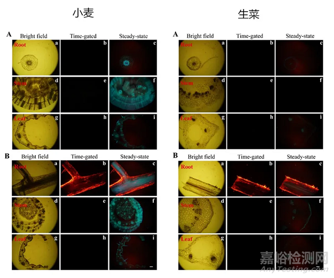 ICP-MS單顆粒物分析研究進(jìn)展