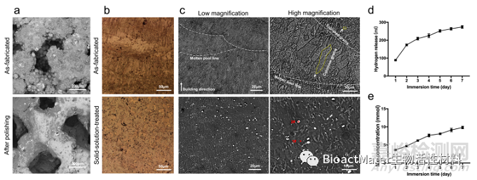 3D打印Mg-Nd-Zn-Zr鎂合金植入物治療骨感染的實驗研究