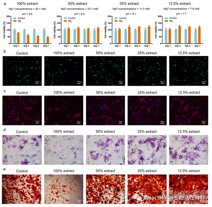 3D打印Mg-Nd-Zn-Zr鎂合金植入物治療骨感染的實驗研究