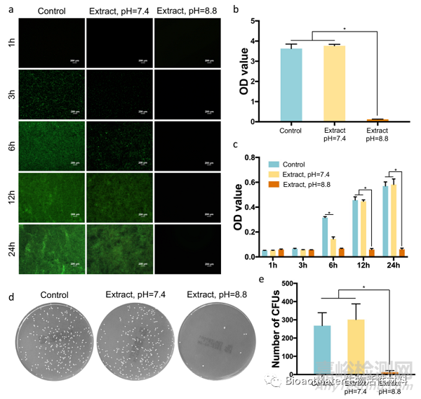 3D打印Mg-Nd-Zn-Zr鎂合金植入物治療骨感染的實驗研究