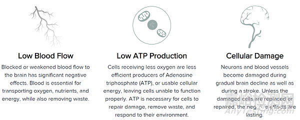 Sunflower Rx：開啟“光學”治療老年癡呆臨床研究