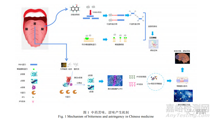 創(chuàng)新兒童中藥制劑的造粒掩味關鍵技術研究概況
