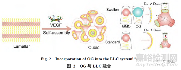 溶質(zhì)液晶作為經(jīng)皮給藥載體的研究進展