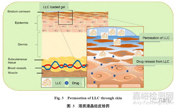 溶質(zhì)液晶作為經(jīng)皮給藥載體的研究進展