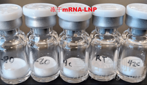 淺談制藥生產(chǎn)中凍干工藝之預(yù)凍