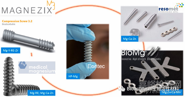 頗具潛力的生物活性涂層系統(tǒng)—用于高性能可吸收鎂質(zhì)骨植入物