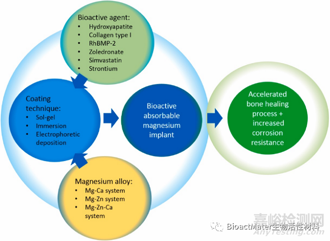 頗具潛力的生物活性涂層系統(tǒng)—用于高性能可吸收鎂質(zhì)骨植入物