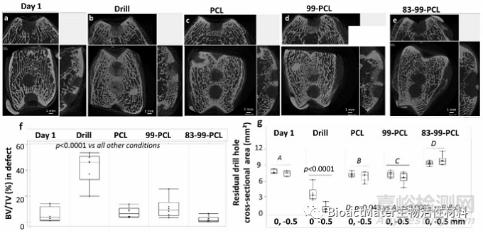 利用殼聚糖涂層的自身免疫活性促進(jìn)帶孔聚己內(nèi)酯支架中血管、骨和軟骨的生成