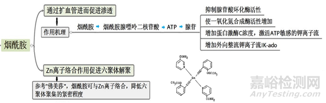 胰島素藥物作用機(jī)制-以門(mén)冬胰島素和德谷胰島素為例