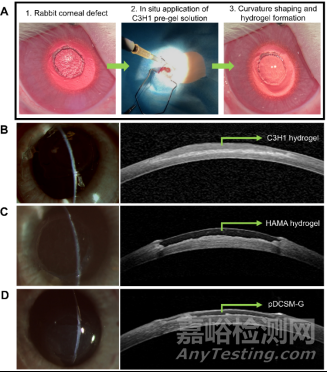 長(zhǎng)期無(wú)縫合修復(fù)角膜缺損取得新進(jìn)展
