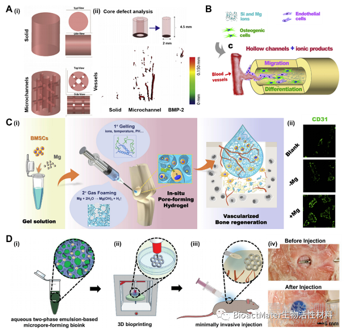 基于水凝膠材料體外構(gòu)建血管化組織用于組織再生及藥物篩選的研究進展