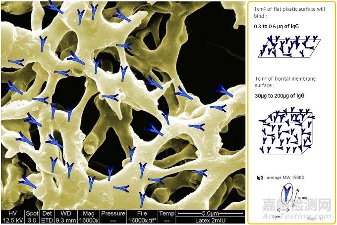 如何進(jìn)行NC膜的評(píng)價(jià)和質(zhì)控