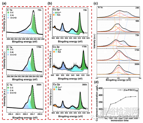 AZ31鎂合金表面通過(guò)葉綠素銅誘導(dǎo)的Ca-P涂層的體外降解、光動(dòng)力與光熱抗菌活性研究