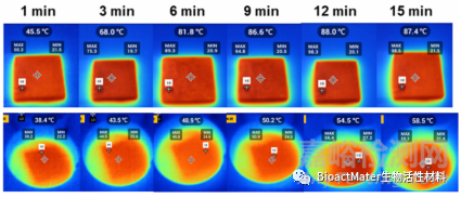 AZ31鎂合金表面通過(guò)葉綠素銅誘導(dǎo)的Ca-P涂層的體外降解、光動(dòng)力與光熱抗菌活性研究