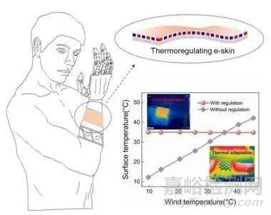 電子皮膚的溫覺仿生研究獲新進展