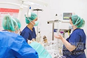 動物實驗中麻醉要求