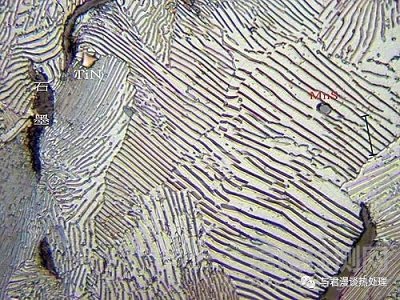 珠光體的機械性能