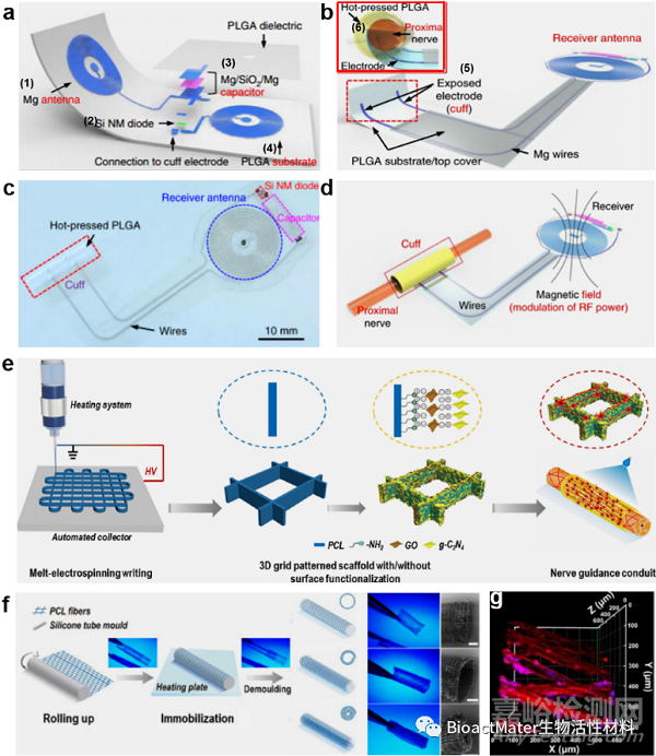 神經(jīng)導(dǎo)管研究進(jìn)展-材料設(shè)計、功能化和先進(jìn)制造創(chuàng)新
