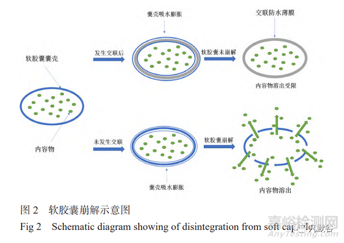 軟膠囊崩解遲緩問題及評(píng)測(cè)方法的研究進(jìn)展
