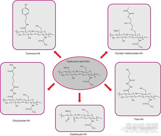 膝關(guān)節(jié)骨性關(guān)節(jié)炎治療的再生工程