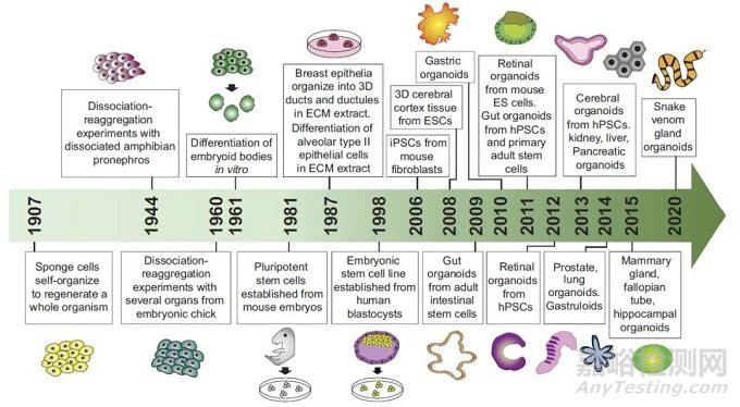 類器官醫(yī)療器械技術與專利分析