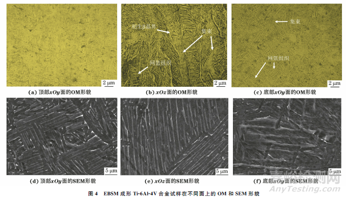 電子束選區(qū)熔化成形Ti-6Al-4V合金不同沉積高度上的組織與性能