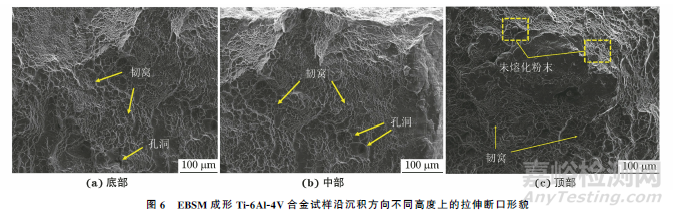 電子束選區(qū)熔化成形Ti-6Al-4V合金不同沉積高度上的組織與性能