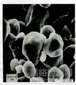 各種崩解劑特性對比及其使用要點解析