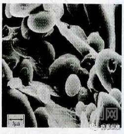 各種崩解劑特性對比及其使用要點解析